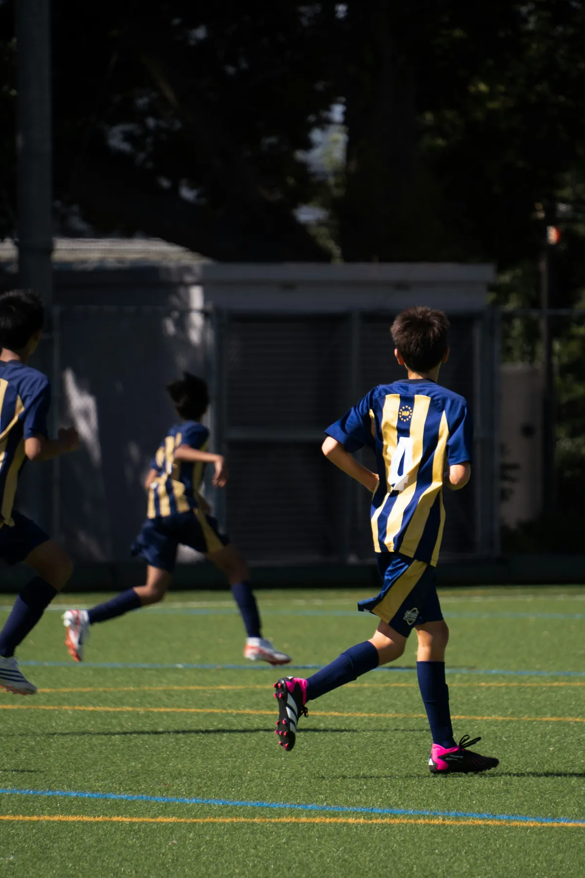 Academias Deportivas